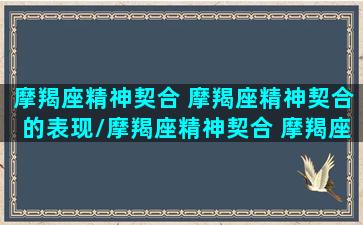 摩羯座精神契合 摩羯座精神契合的表现/摩羯座精神契合 摩羯座精神契合的表现-我的网站